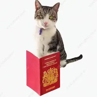 Passport